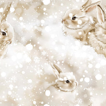 Lataa kuva Galleria-katseluun, TRIKOO: TALVIMETSÄN SYLISSÄ