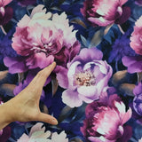 SOFTSHELL MIDNIGHT PEONIES