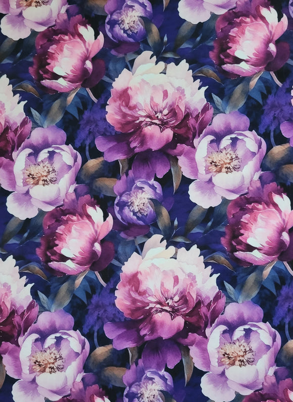 SOFTSHELL MIDNIGHT PEONIES