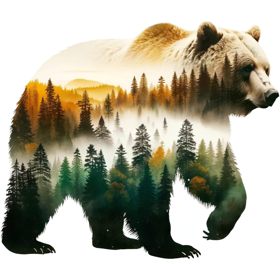 SILITYSKUVA: METSÄN KUNINGAS