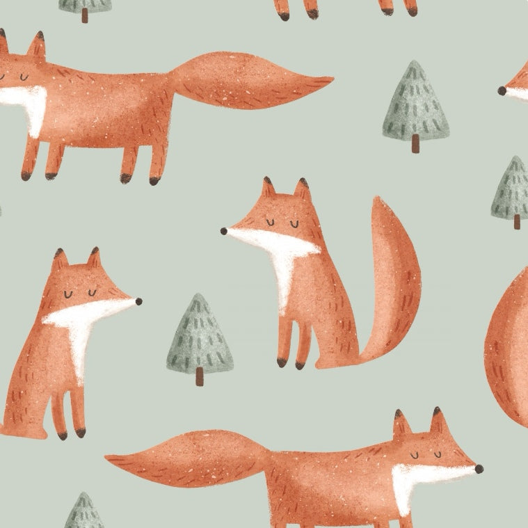JOUSTOCOLLEGE FOX, DUSTY GREEN