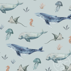 LYCRA, DEEP SEA LIFE