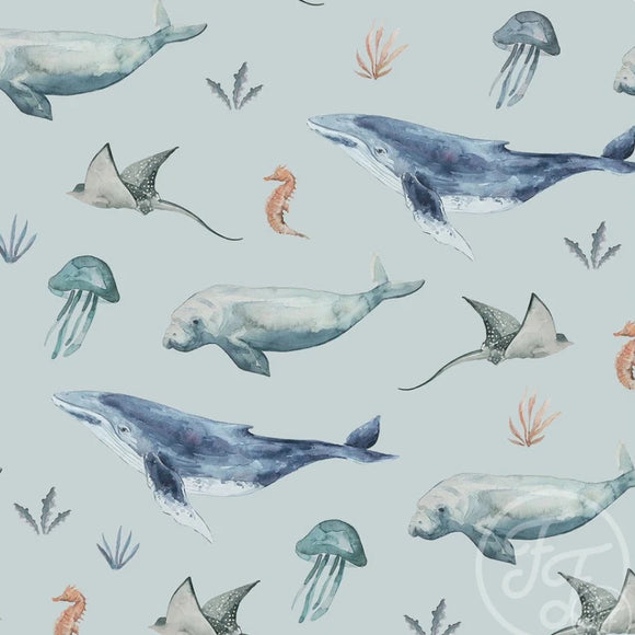 LYCRA, DEEP SEA LIFE